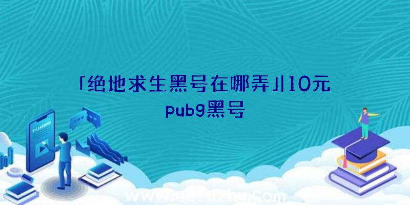 「绝地求生黑号在哪弄」|10元pubg黑号